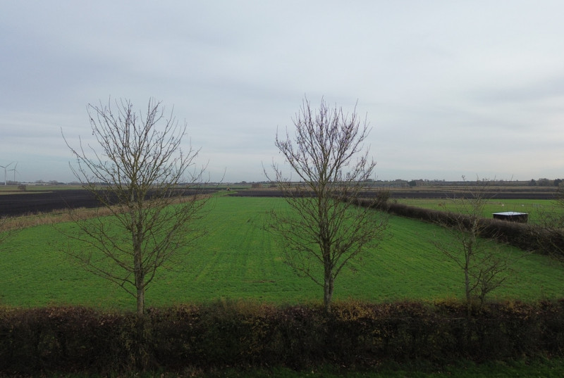 Ugg Mere Court Road, Huntingdon5