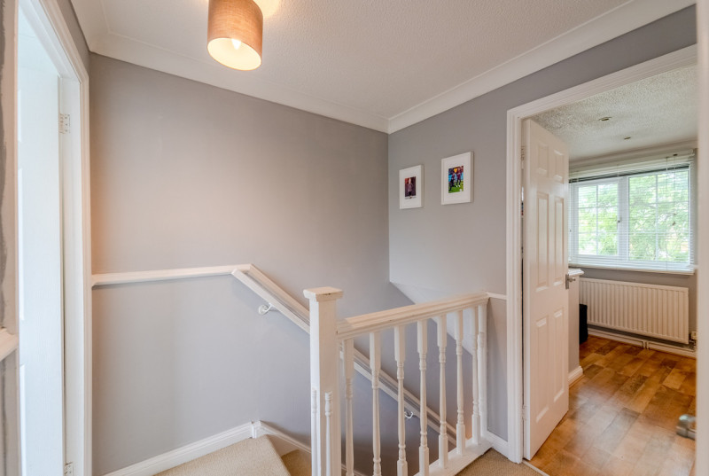 Thirlmere, Stukeley Meadows10