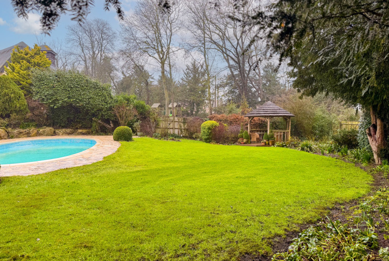 Millers Pond, Dove House Wood, Abbots Ripton42