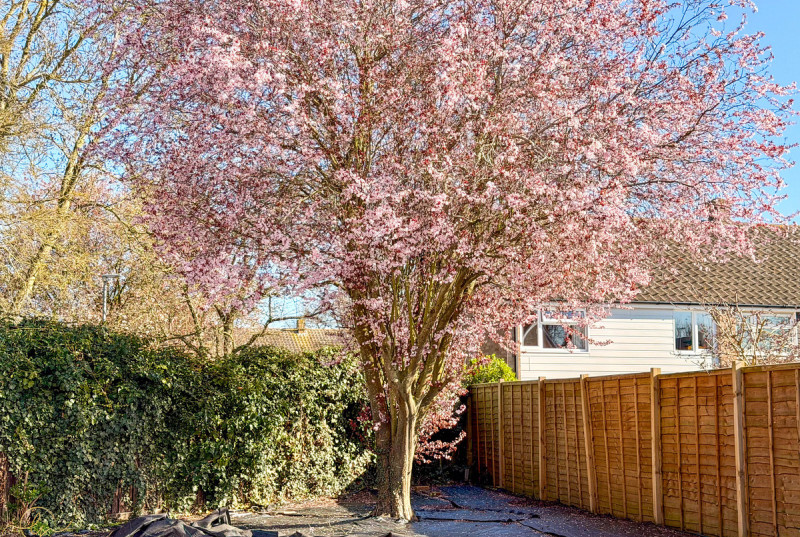 Wheatsheaf Road, Alconbury Weston30