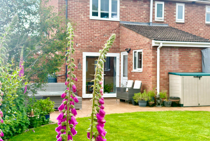 Mosquito Road, Upwood33
