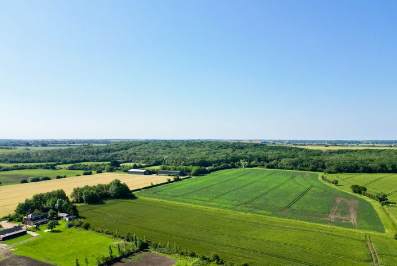 Wistow Fen, Wistow, PE28