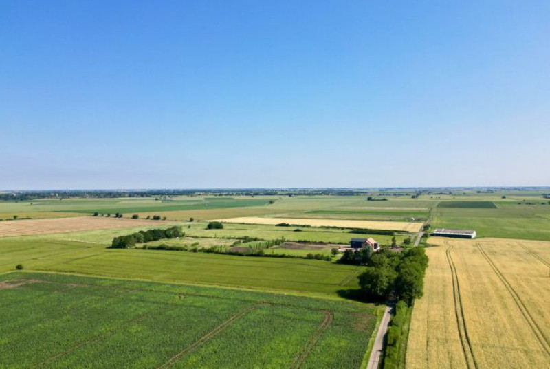 Wistow Fen, Wistow, PE286