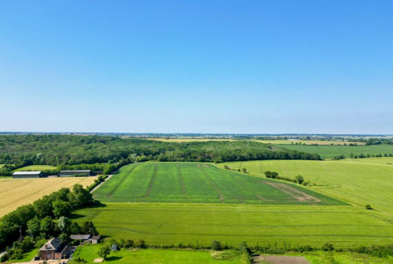 Wistow Fen, Wistow, PE2837