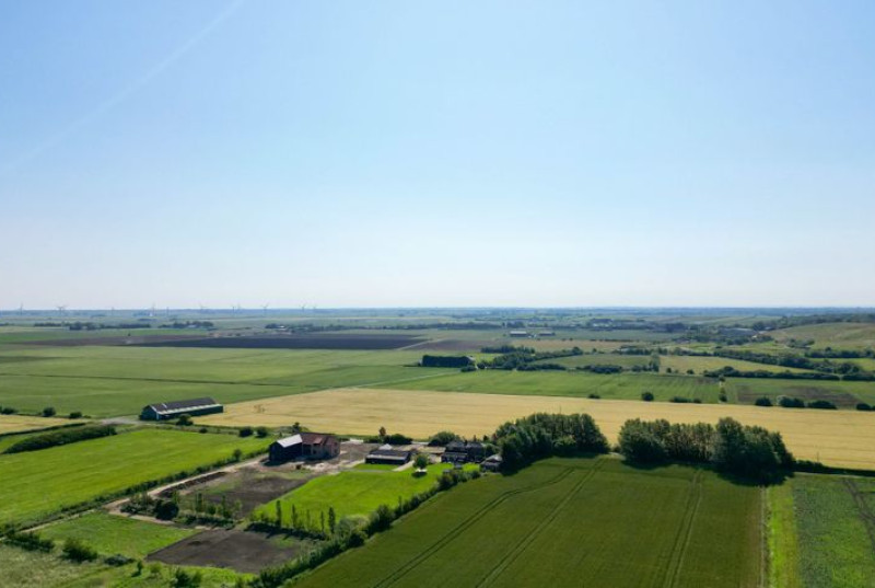 Wistow Fen, Wistow, PE2838