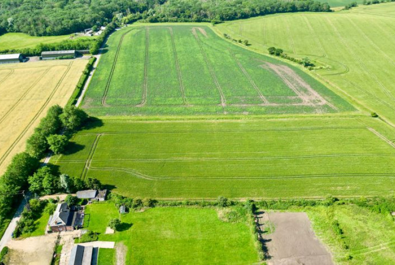 Wistow Fen, Wistow, PE2840