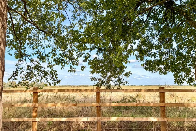 Poplar Gardens, Whittlesey, PE7
