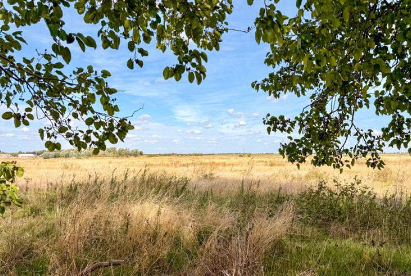 Poplar Gardens, Whittlesey, PE721