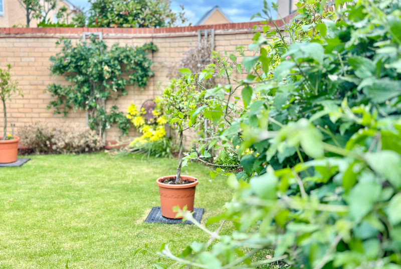 Reeve Way, Godmanchester37