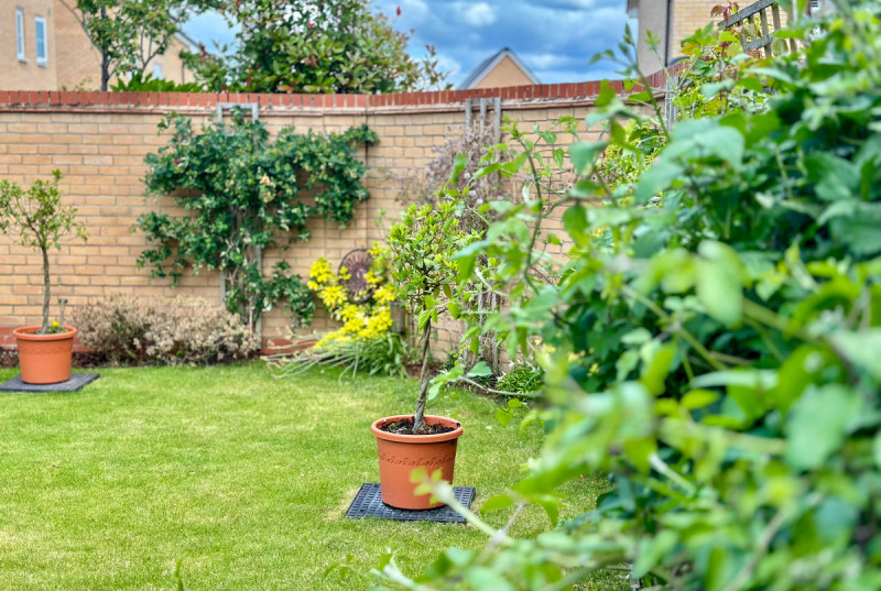 Reeve Way, Godmanchester38