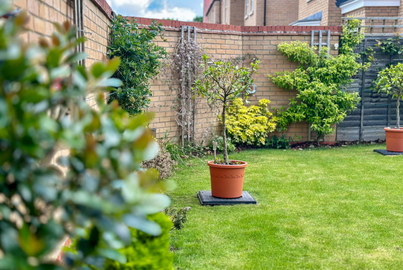 Reeve Way, Godmanchester39