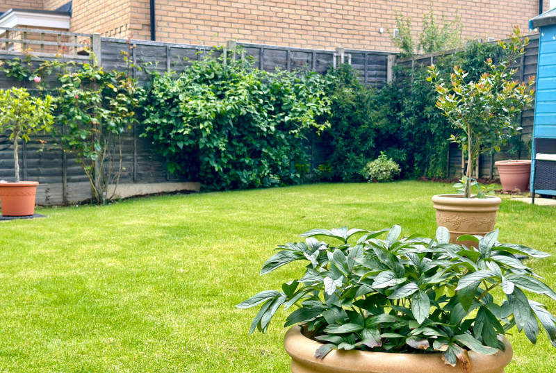 Reeve Way, Godmanchester40