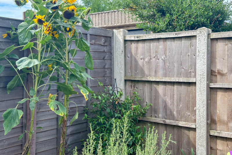 Humberdale Way, Wayboys28