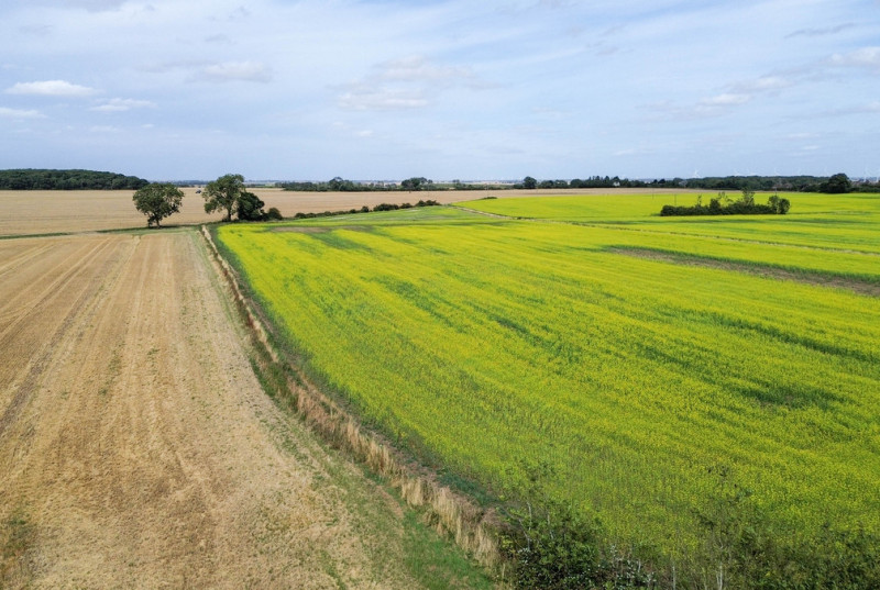 Humberdale Way, Wayboys34