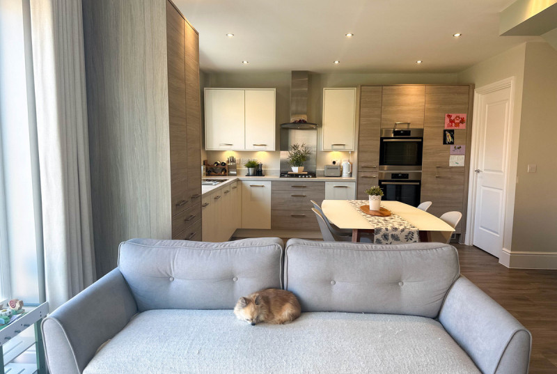 Hallowes Drive, Alconbury Weald25