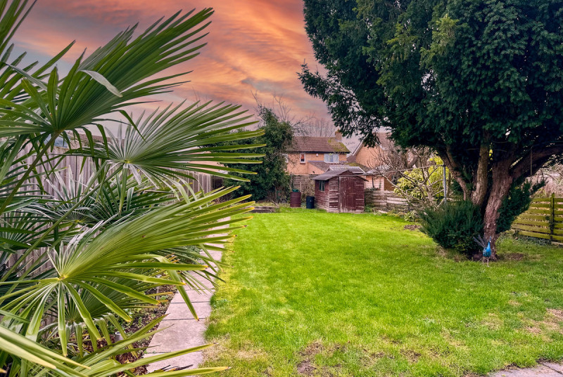 Millfield, Willingham50