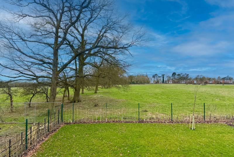 How Gardens - The How, St Ives35