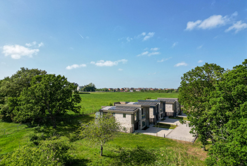 How Gardens, The How, St Ives5