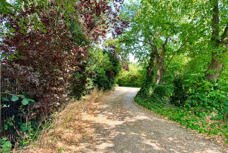Market Street, Swavesey4