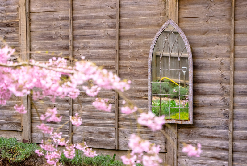 Waterhaven, Earith39