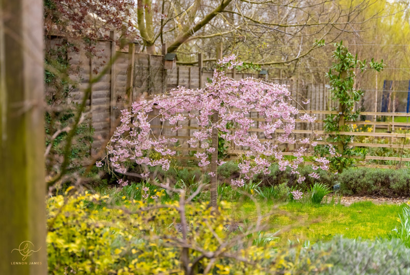 Waterhaven, Earith42