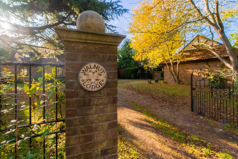 Thicket Road, Houghton11