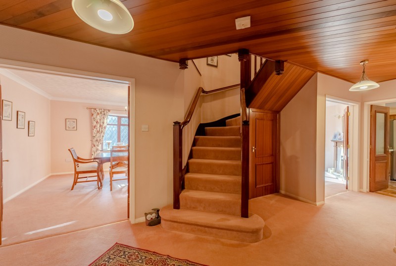 Thicket Road, Houghton13
