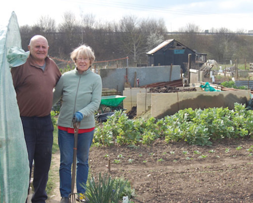 Godmanchester Allotments