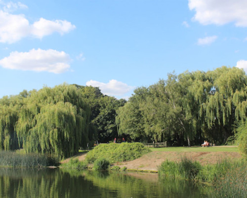 Godmanchester Recreation Ground