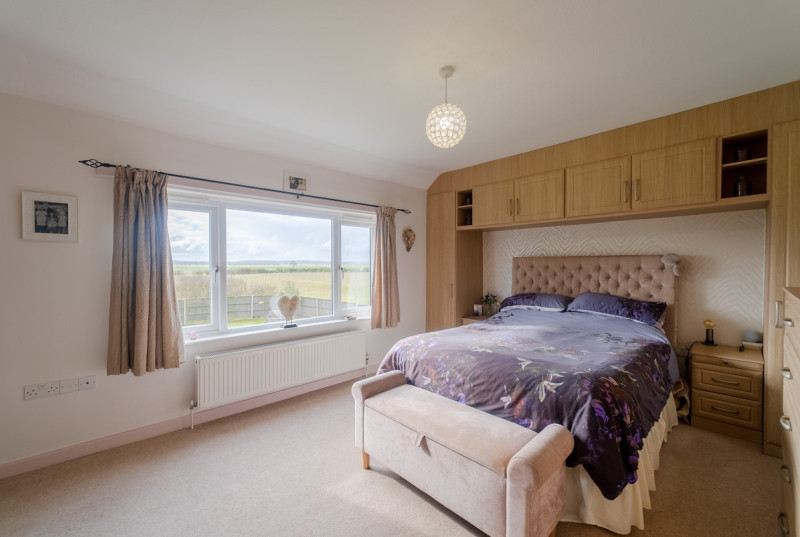 Ivy Farm, Conington Fen19