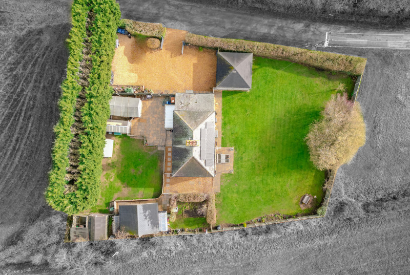 Ivy Farm, Conington Fen34