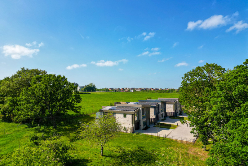 How Gardens, The How, St Ives38